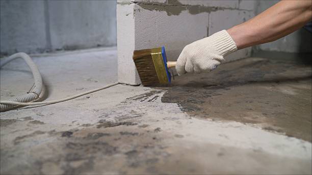24/7 Emergency Wet Basement Repair experts in Allen Park, MI